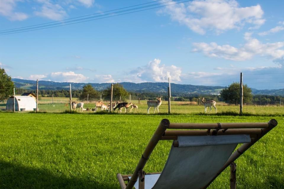 Ranczo Zwierzyniec Noclegi Jordanow Bagian luar foto